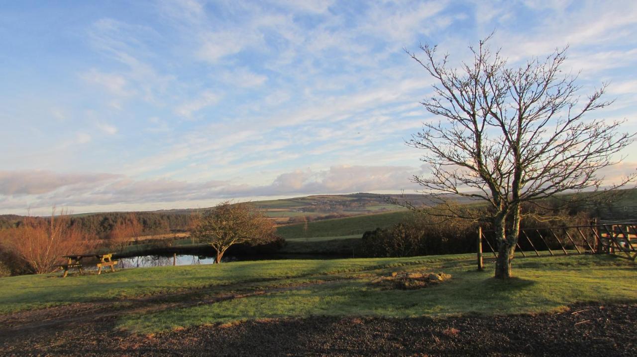 Little Hilton Farm Bed and Breakfast Haverfordwest Esterno foto